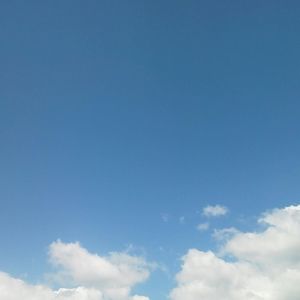 Meet your Posher, Terry e